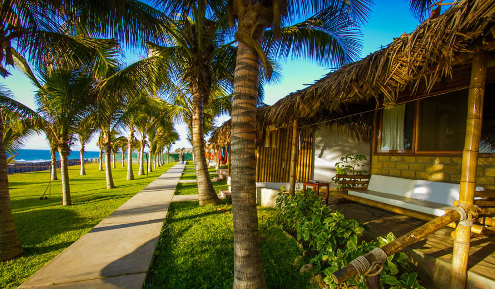 Hotel Playa Palmeras Los Organos Ngoại thất bức ảnh