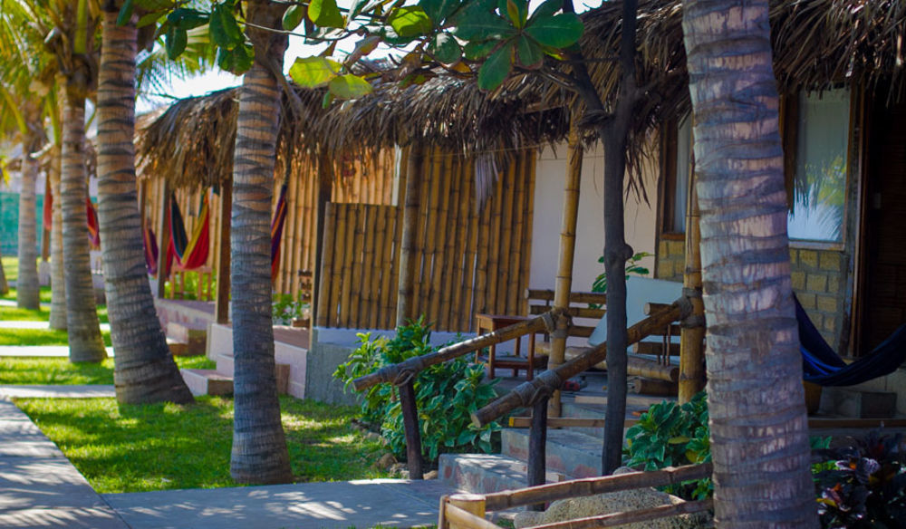 Hotel Playa Palmeras Los Organos Ngoại thất bức ảnh