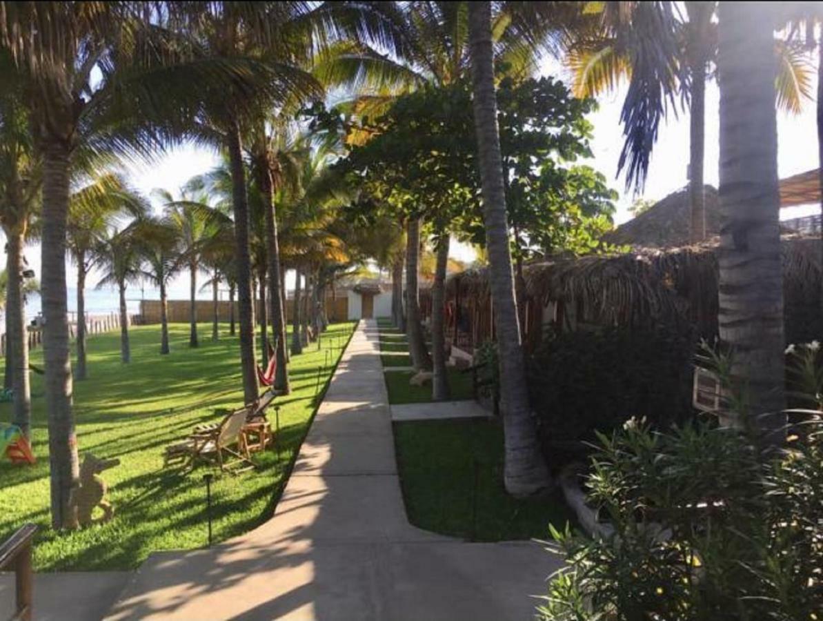 Hotel Playa Palmeras Los Organos Ngoại thất bức ảnh